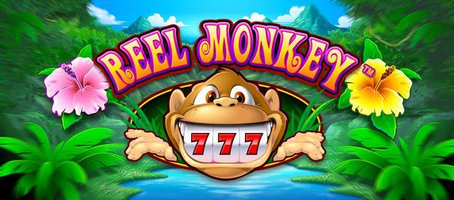 ssbet77 link