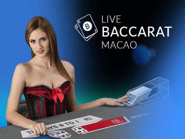 php 365 online casino login